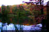 fall-winecellarlake-trees.jpg (344017 bytes)