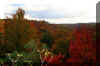 fallforestview1.JPG (285935 bytes)