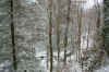 fallshillscreekviewweb_Mountains.jpg (482028 bytes)