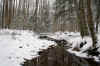 foreststreamsnow4web_creek.JPG (362056 bytes)