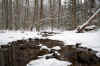 Two creeks that run together