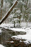 Creek running through the Monongahela forest in West Virginia