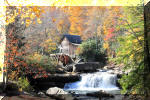 Forest Grist Mill
