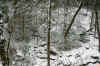 hillsidehillscreekweb_Mountains.jpg (461402 bytes)
