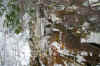 iceciclerocksweb_rocks.jpg (399418 bytes)