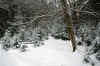 mountaintrailsnow2web.JPG (374693 bytes)