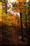 north-fork-trail-1.jpg (345613 bytes)