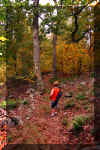 north-fork-trail-2.jpg (495965 bytes)