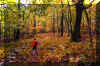 north-fork-trail-4.jpg (485199 bytes)