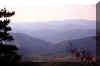 north-fork-trail-8.jpg (146207 bytes)