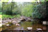 redcreek_creek.JPG (416543 bytes)