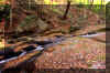 seneca-creek-3.jpg (456303 bytes)