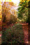 seneca-creek-trail-1.jpg (483990 bytes)