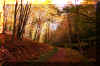 seneca-creek-trail-4.jpg (460358 bytes)