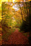 seneca-creek-trail-8.jpg (374787 bytes)