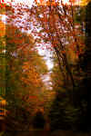 seneca-creek-trail-9.jpg (377032 bytes)