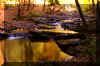 seneca-creek-waterfall-17.jpg (305744 bytes)