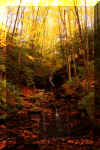 seneca-creek-waterfall-19.jpg (399996 bytes)