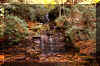 seneca-creek-waterfall-20.jpg (484331 bytes)