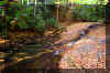 seneca-creek-waterfall.jpg (423873 bytes)