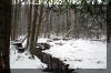 snowy stream