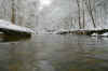 Manila creek right after a nice snow fall