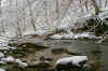 rocks and a tree branch that is sticking in the water