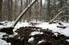 Colorful rocky creek bed in the West Virginia Monongahel Forest