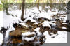 snowy stream