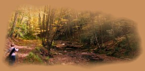 West Virginia Nature Photography Guided Adventure Tours