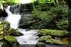 Keenys-Creek Big Waterfalls