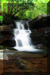 Waterfall-in-the-forest