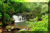 the-falls-of-seneca
