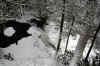 upperfallshillscreekwinter06web_waterfall.jpg (275198 bytes)