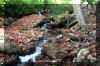 waterfall-2.JPG (372688 bytes)