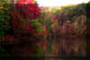 wine-cellar-lake-fall-trees.jpg (267807 bytes)