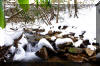 winter waterfalls stream