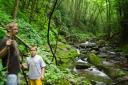 Seneca Creek Wilderness Trail