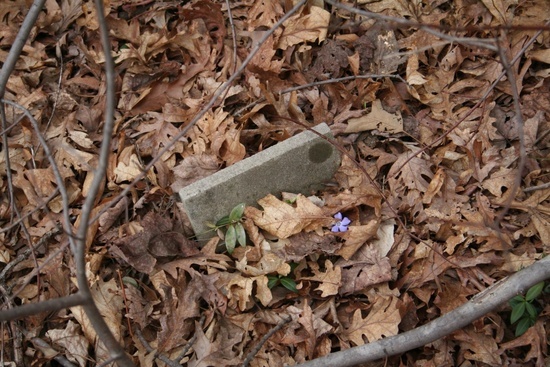 100 year old headstone in the woods