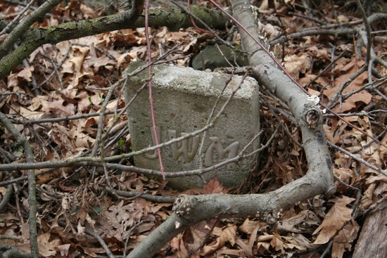 100 year old headstone leaves