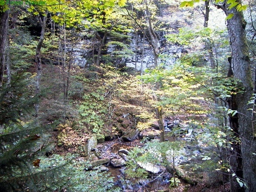Cliffside Hills Creek