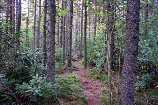 Highland Scenic Trail 2