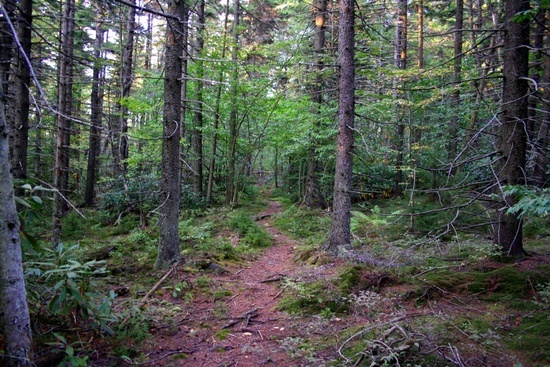 Highland Scenic Trail 3