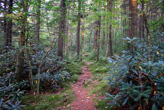 Highland Scenic Trail 4