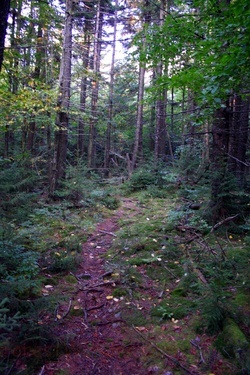 Highland Scenic Trail 5