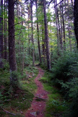 Highland Scenic Trail 7