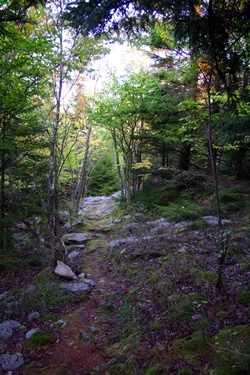 Highland Scenic Trail 9