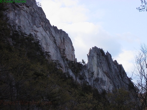 Seneca Rocks