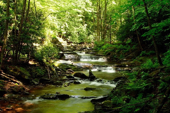 Seneca Creek Stream