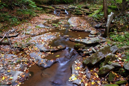 Seneca Waterfalls